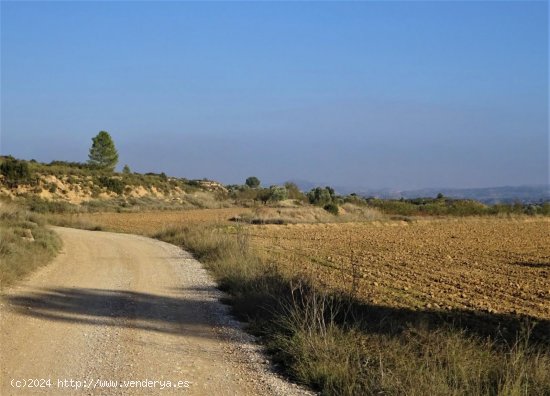 Finca en venta en Maella (Zaragoza)