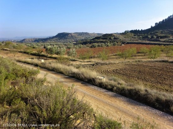 Finca en venta en Maella (Zaragoza)