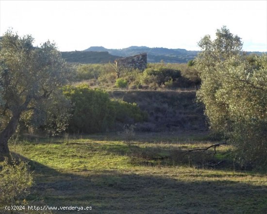  Finca en venta en Maella (Zaragoza) 