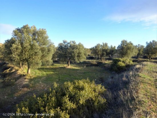 Finca en venta en Maella (Zaragoza)