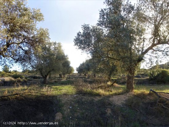 Finca en venta en Maella (Zaragoza)