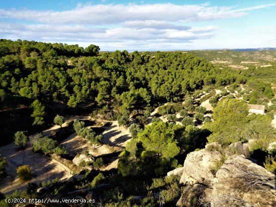 Finca en venta en Maella (Zaragoza)