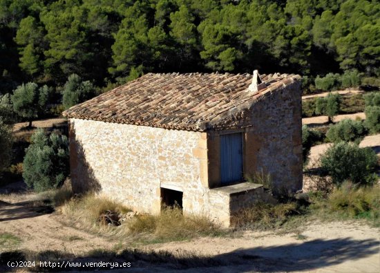 Finca en venta en Maella (Zaragoza)