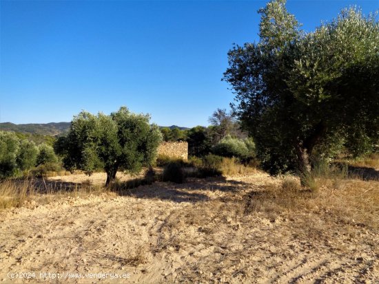 Finca en venta en Maella (Zaragoza)