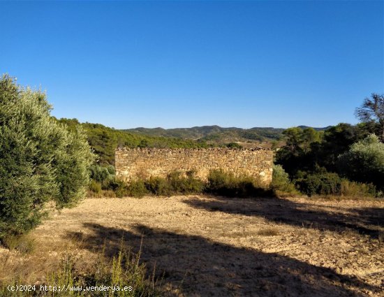 Finca en venta en Maella (Zaragoza)