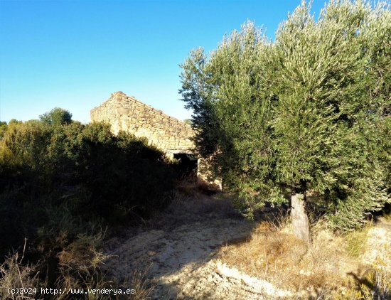 Finca en venta en Maella (Zaragoza)