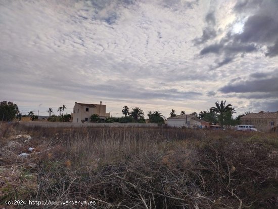 Parcela para invertir en Elche (Alicante)