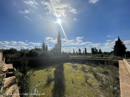 Solar en venta en Sa Pobla (Baleares)