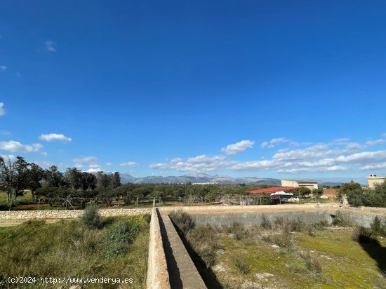 Solar en venta en Sa Pobla (Baleares)