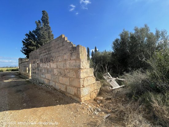 Solar en venta en Sa Pobla (Baleares)