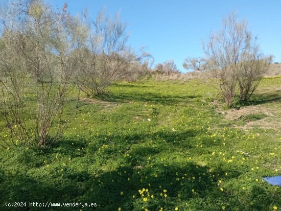  Parcela en venta en Benajarafe (Málaga) 