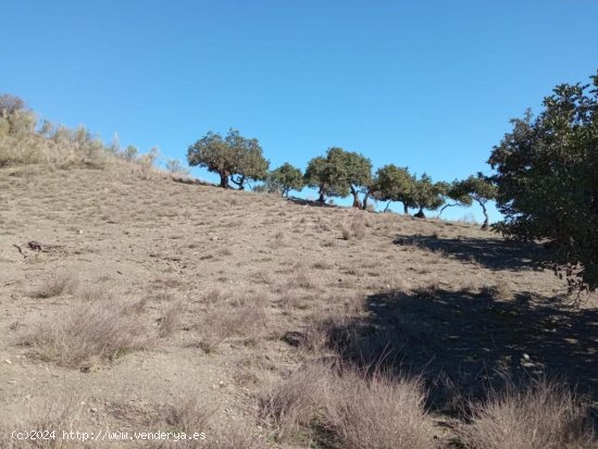 Parcela en venta en Benajarafe (Málaga)