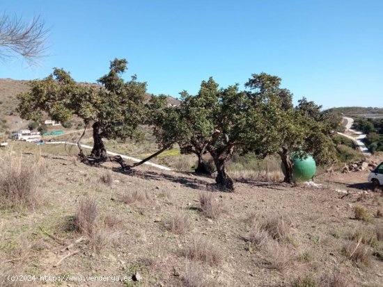 Parcela en venta en Benajarafe (Málaga)