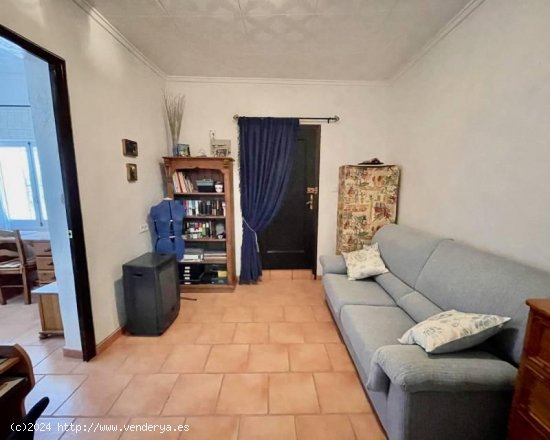 Finca en venta en Orihuela (Alicante)