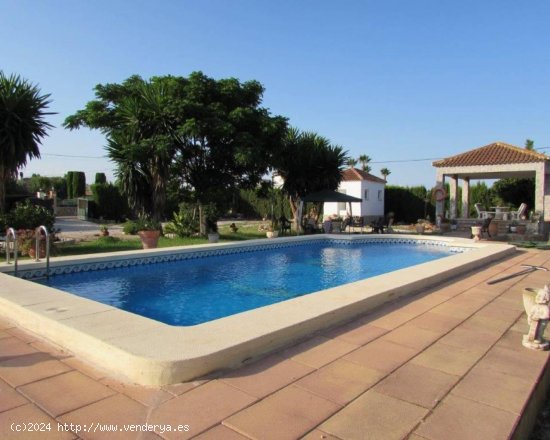  Finca en venta en Dolores (Alicante) 