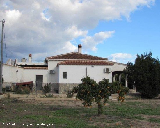 Finca en venta en Dolores (Alicante)