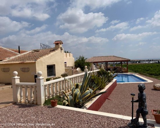 Finca en venta en Orihuela (Alicante)