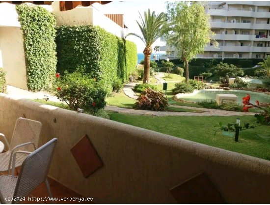 Apartamento en alquiler en Benalmádena (Málaga)