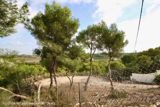 Parcela en venta en Pilar de la Horadada (Alicante)