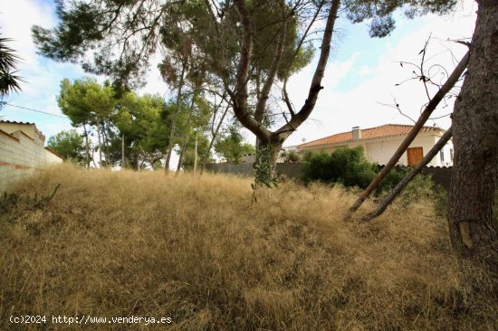 Parcela en venta en Pilar de la Horadada (Alicante)