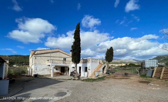  Finca en venta en Andratx (Baleares) 