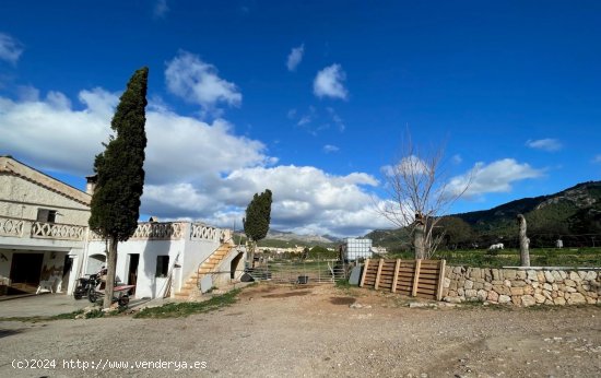 Finca en venta en Andratx (Baleares)