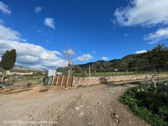 Finca en venta en Andratx (Baleares)