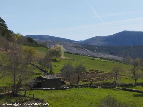 Casa en venta en Samos (Lugo)