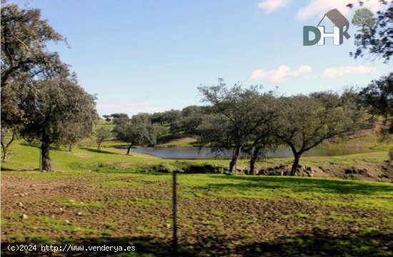 Solar en venta en Cáceres (Cáceres)