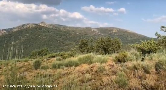 Solar en venta en Jerte (Cáceres)