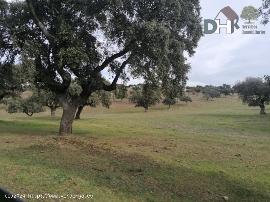  Solar en venta en Cáceres (Cáceres) 