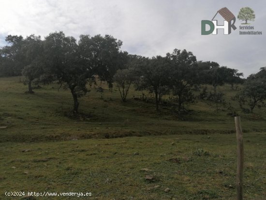 Solar en venta en Cáceres (Cáceres)