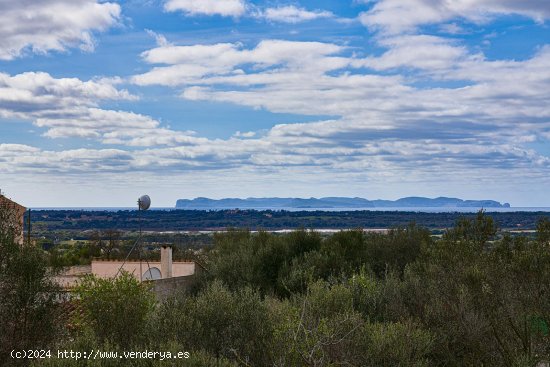 Casa en venta en Ses Salines (Baleares)