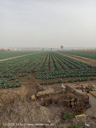 Parcela en venta en San Fulgencio (Alicante)