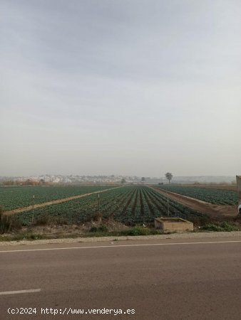 Parcela en venta en San Fulgencio (Alicante)