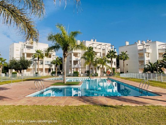 Apartamento en alquiler en Torre-Pacheco (Murcia)