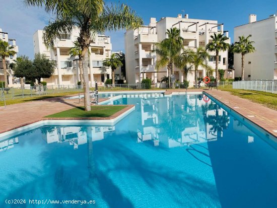 Apartamento en alquiler en Torre-Pacheco (Murcia)