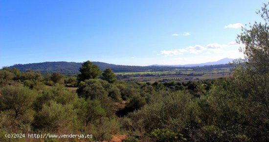  Chalet en venta en construcción en Sant Joan (Baleares) 