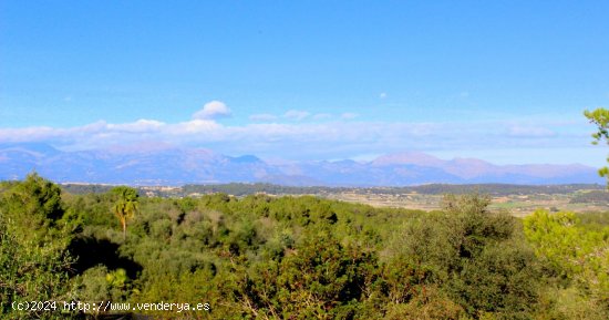 Chalet en venta en construcción en Sant Joan (Baleares)