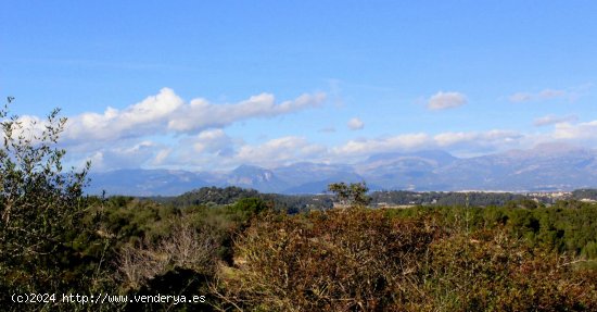 Chalet en venta en construcción en Sant Joan (Baleares)