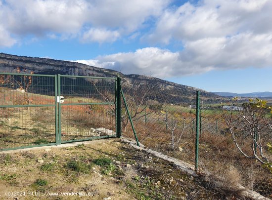 Finca en venta en Echarri (Navarra)