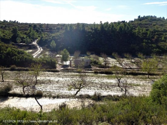 Finca en venta en Maella (Zaragoza)