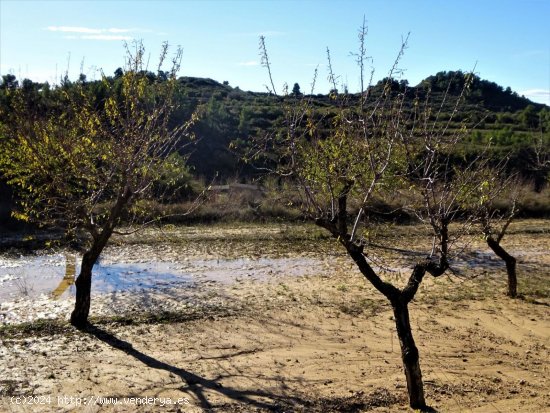 Finca en venta en Maella (Zaragoza)