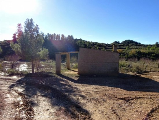 Finca en venta en Maella (Zaragoza)