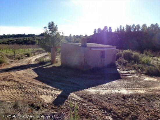 Finca en venta en Maella (Zaragoza)