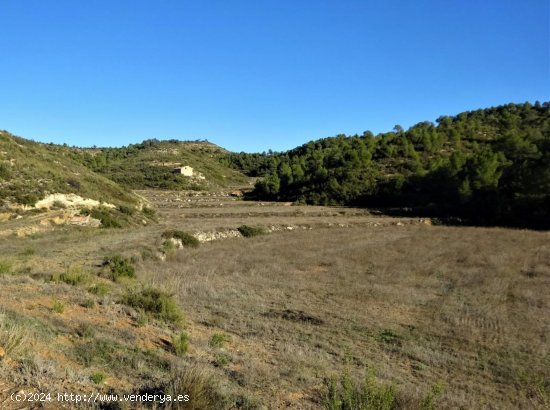 Finca en venta en Mequinenza (Zaragoza)