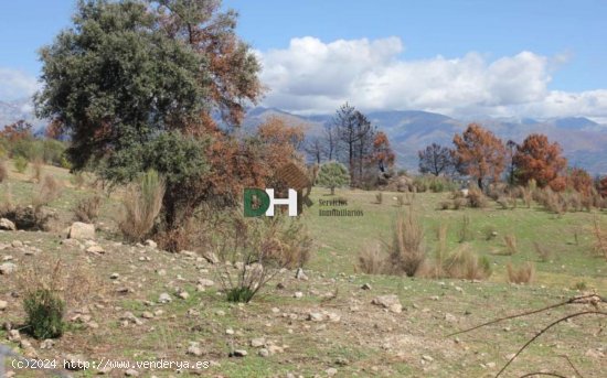 Solar en venta en Cáceres (Cáceres)