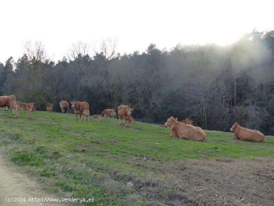 Finca en venta en Bescanó (Girona)