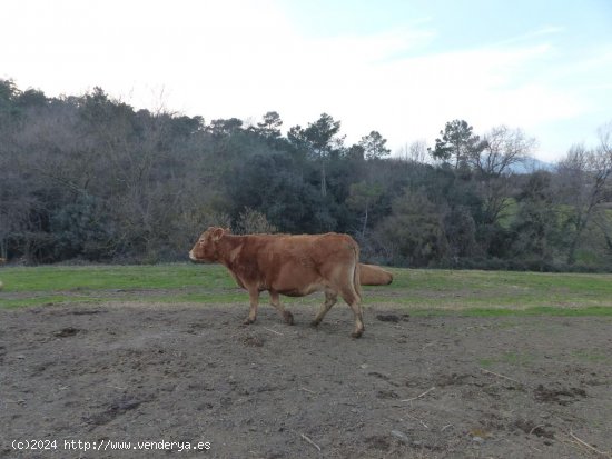 Finca en venta en Bescanó (Girona)