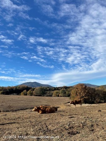 Finca en venta en Bescanó (Girona)